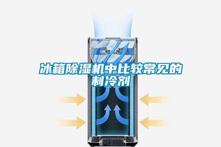 冰箱麻豆视频黄网站中比较常见的制冷剂