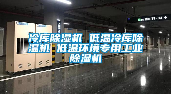 冷库麻豆视频黄网站 低温冷库麻豆视频黄网站 低温环境专用工业麻豆视频黄网站
