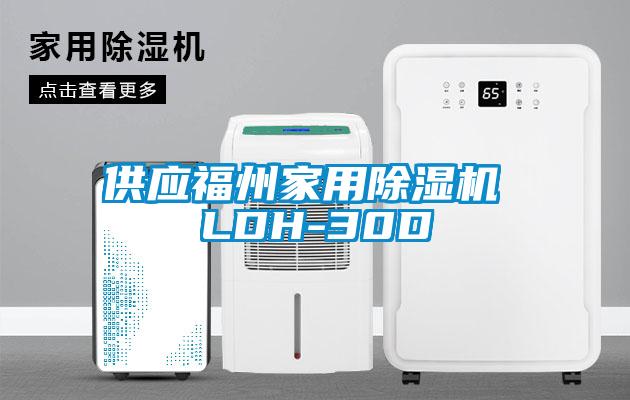 供应福州家用麻豆视频黄网站 LDH-30D