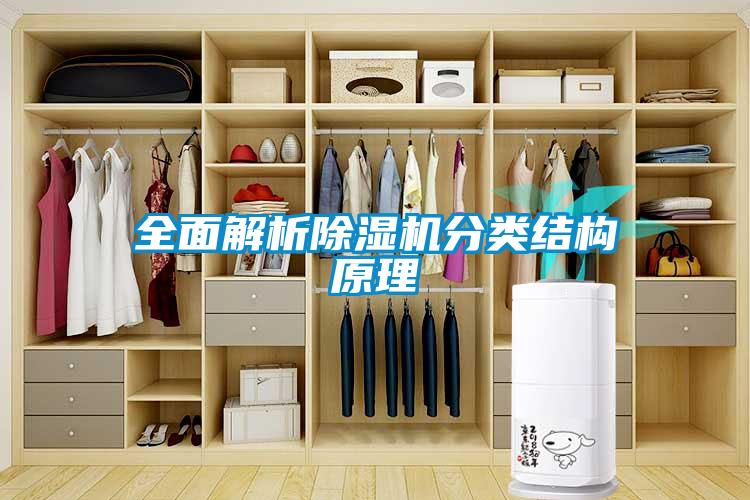 全面解析麻豆视频黄网站分类结构原理
