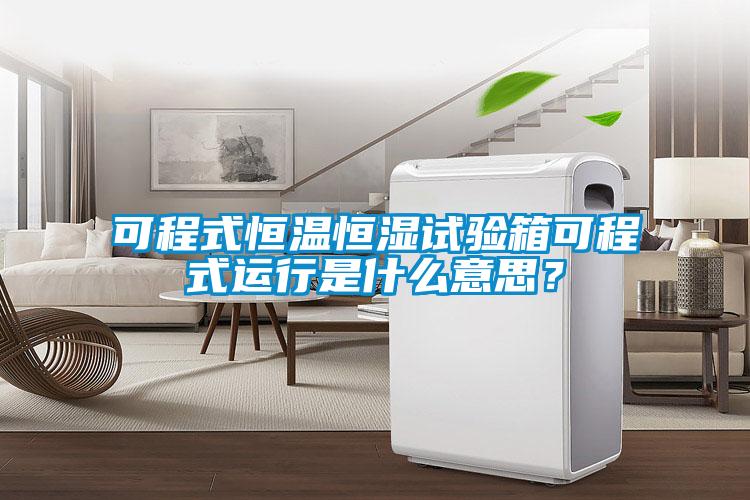 可程式恒温恒湿试验箱可程式运行是什么意思？