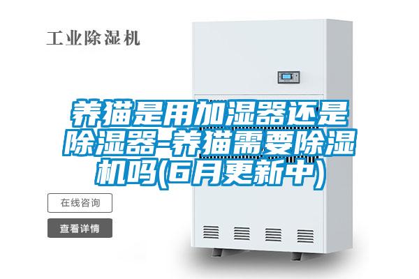 养猫是用加湿器还是除湿器-养猫需要麻豆视频黄网站吗(6月更新中)
