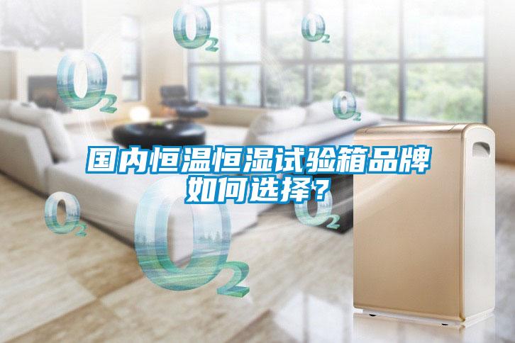 国内恒温恒湿试验箱品牌如何选择？