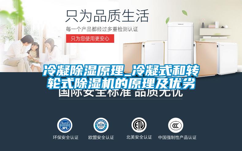 冷凝除湿原理_冷凝式和转轮式麻豆视频黄网站的原理及优劣