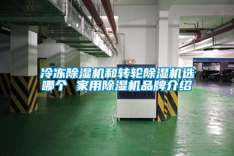 冷冻麻豆视频黄网站和转轮麻豆视频黄网站选哪个 家用麻豆视频黄网站品牌介绍