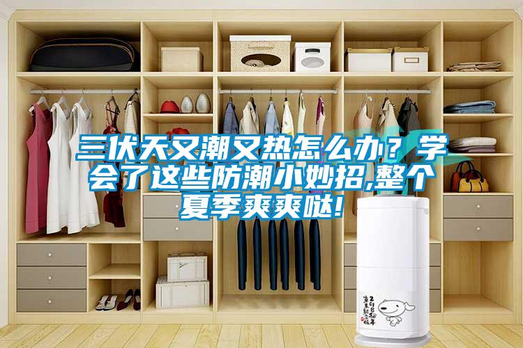 三伏天又潮又热怎么办？学会了这些防潮小妙招,整个夏季爽爽哒!