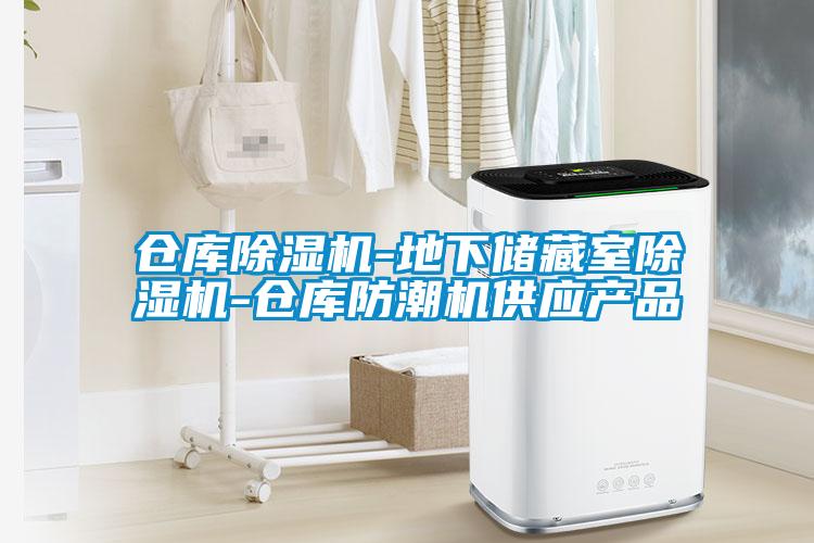 仓库麻豆视频黄网站-地下储藏室麻豆视频黄网站-仓库防潮机供应产品
