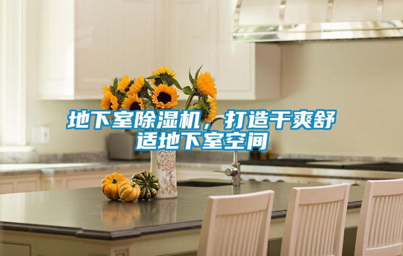 地下室麻豆视频黄网站，打造干爽舒适地下室空间