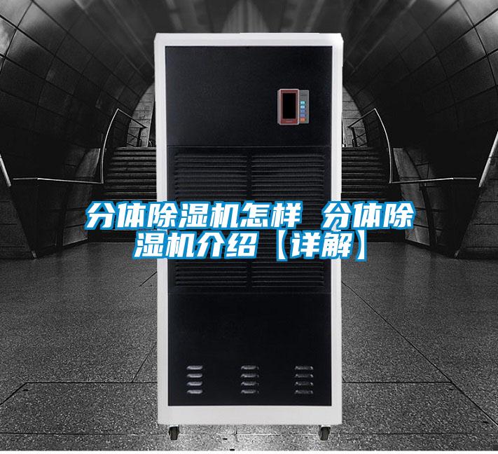 分体麻豆视频黄网站怎样 分体麻豆视频黄网站介绍【详解】