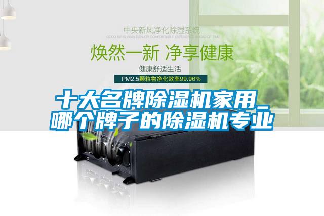 十大名牌麻豆视频黄网站家用_哪个牌子的麻豆视频黄网站专业