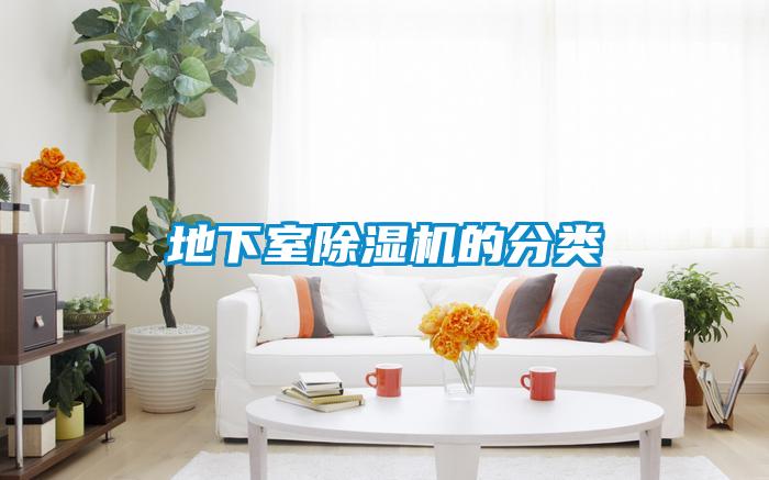 地下室麻豆视频黄网站的分类