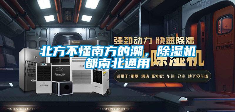 北方不懂南方的潮，麻豆视频黄网站都南北通用