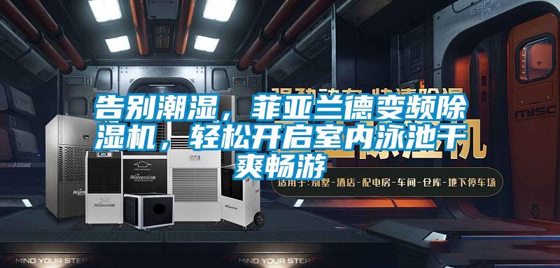 告别潮湿，菲亚兰德变频麻豆视频黄网站，轻松开启室内泳池干爽畅游