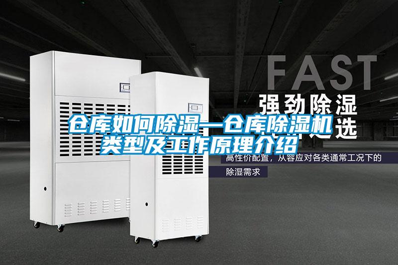 仓库如何除湿—仓库麻豆视频黄网站类型及工作原理介绍
