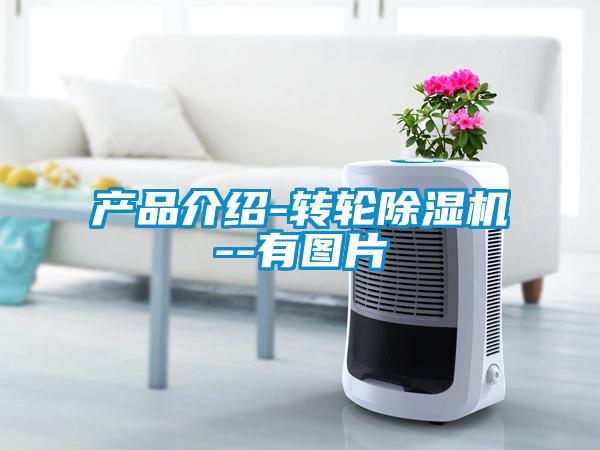 产品介绍-转轮麻豆视频黄网站--有图片