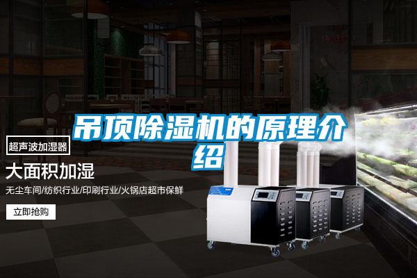 吊顶麻豆视频黄网站的原理介绍