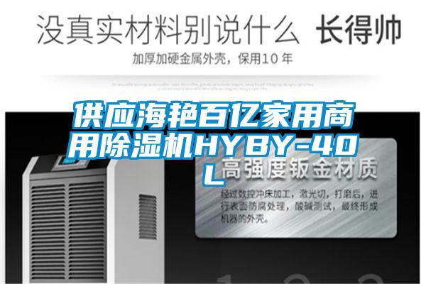 供应海艳百亿家用商用麻豆视频黄网站HYBY-40L