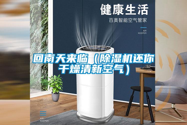 回南天来临（麻豆视频黄网站还你干燥清新空气）