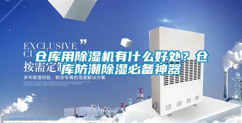 仓库用麻豆视频黄网站有什么好处？仓库防潮除湿必备神器