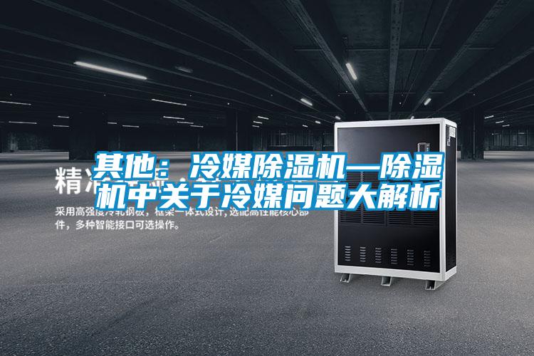 其他：冷媒麻豆视频黄网站—麻豆视频黄网站中关于冷媒问题大解析