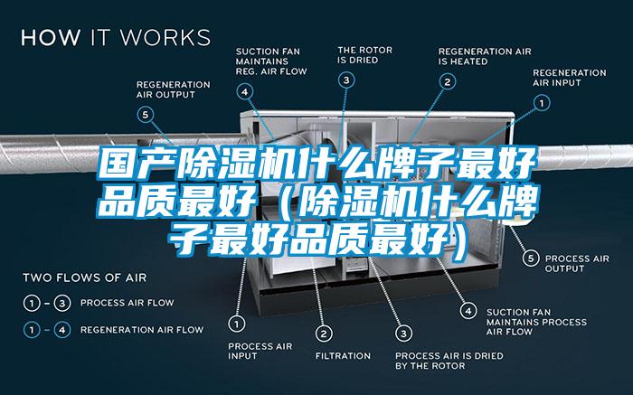国产麻豆视频黄网站什么牌子最好品质最好（麻豆视频黄网站什么牌子最好品质最好）