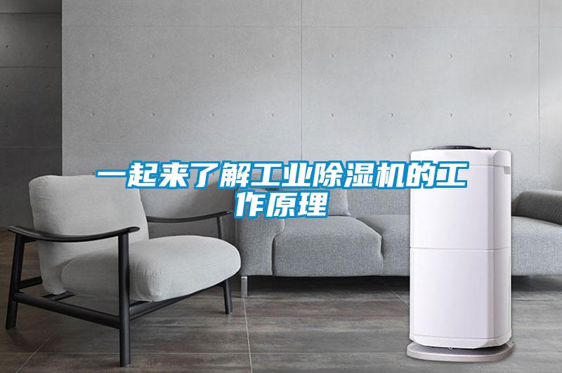 一起来了解工业麻豆视频黄网站的工作原理