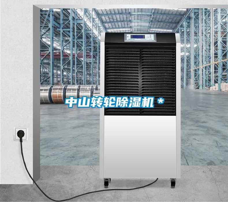 中山转轮麻豆视频黄网站＊