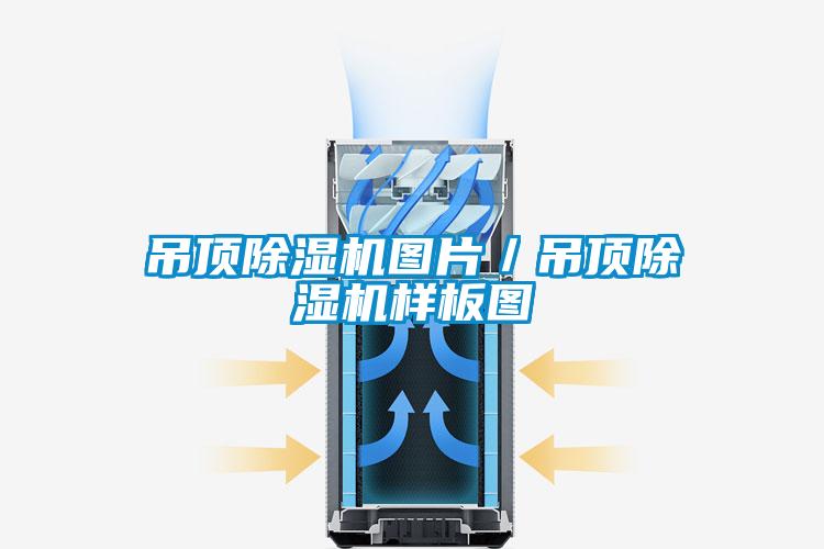 吊顶麻豆视频黄网站图片／吊顶麻豆视频黄网站样板图