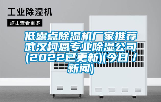 低露点麻豆视频黄网站厂家推荐武汉柯恩专业除湿公司(2022已更新)(今日／新闻)