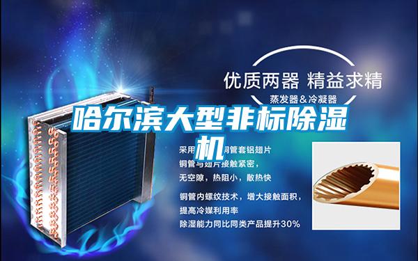 哈尔滨大型非标麻豆视频黄网站