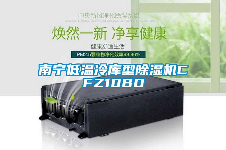 南宁低温冷库型麻豆视频黄网站CFZ10BD