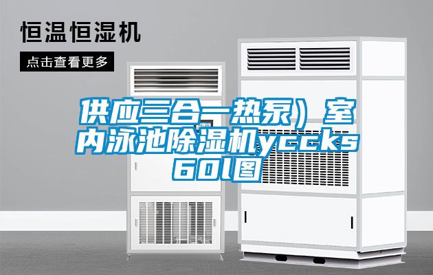 供应三合一热泵）室内泳池麻豆视频黄网站yccks60l图