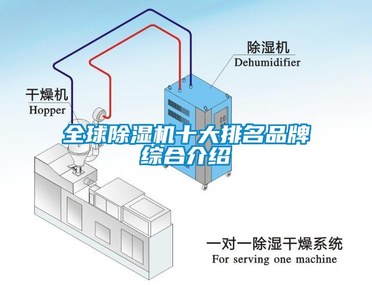 全球麻豆视频黄网站十大排名品牌综合介绍