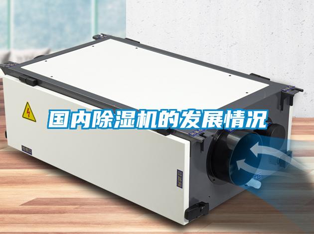 国内麻豆视频黄网站的发展情况