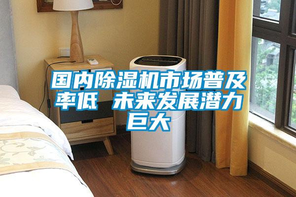 国内麻豆视频黄网站市场普及率低 未来发展潜力巨大