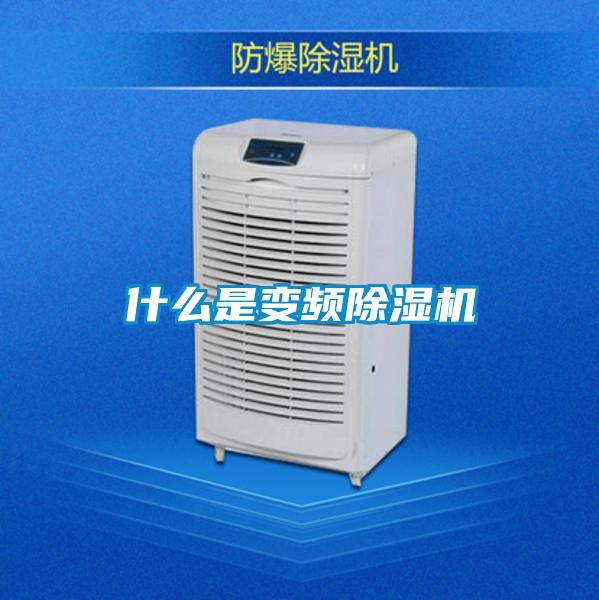 什么是变频麻豆视频黄网站