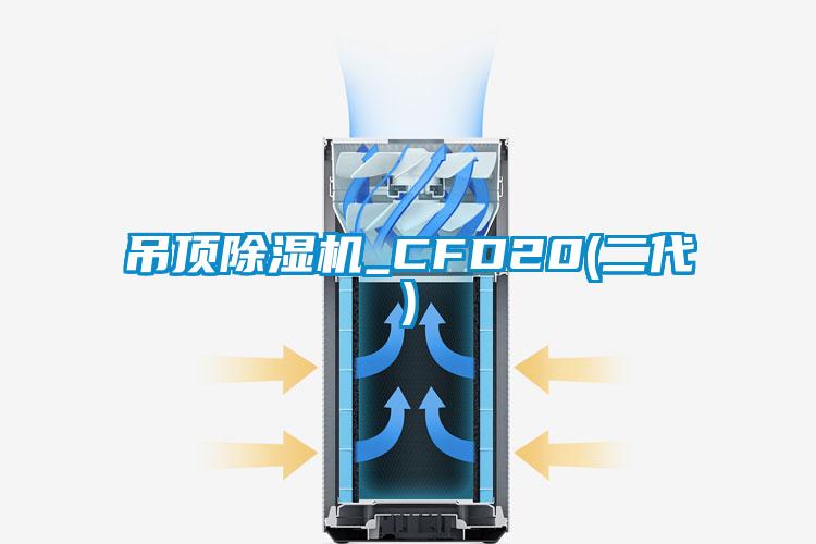 吊顶麻豆视频黄网站_CFD20(二代)