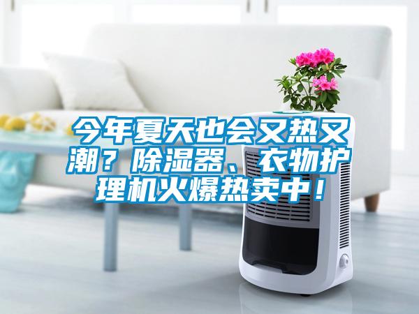 今年夏天也会又热又潮？除湿器、衣物护理机火爆热卖中！