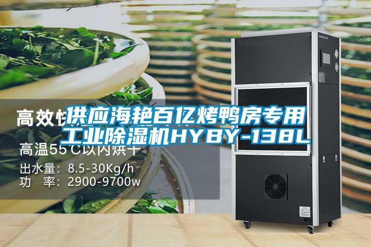 供应海艳百亿烤鸭房专用工业麻豆视频黄网站HYBY-138L