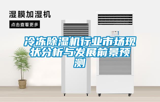 冷冻麻豆视频黄网站行业市场现状分析与发展前景预测