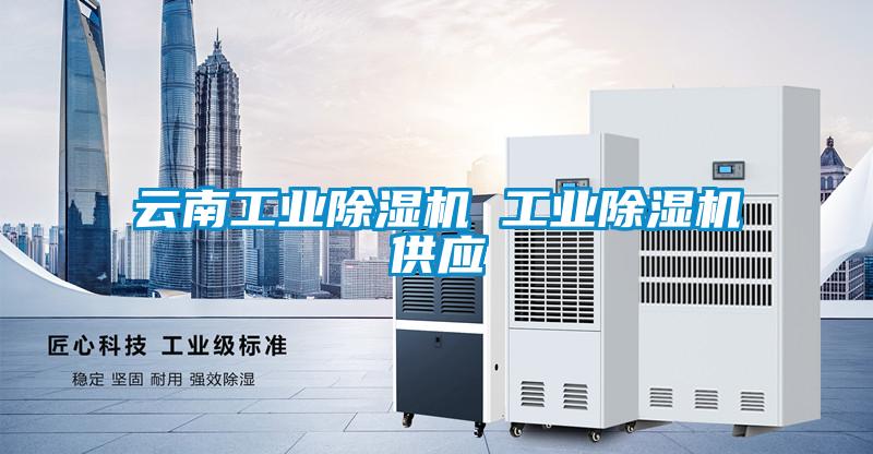 云南工业麻豆视频黄网站 工业麻豆视频黄网站供应