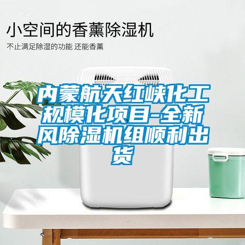 内蒙航天红峡化工规模化项目-全新风麻豆视频黄网站组顺利出货