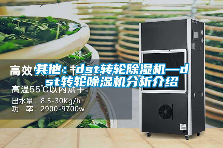 其他：dst转轮麻豆视频黄网站—dst转轮麻豆视频黄网站分析介绍
