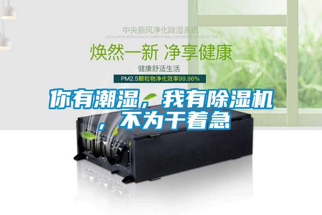 你有潮湿，我有麻豆视频黄网站，不为干着急