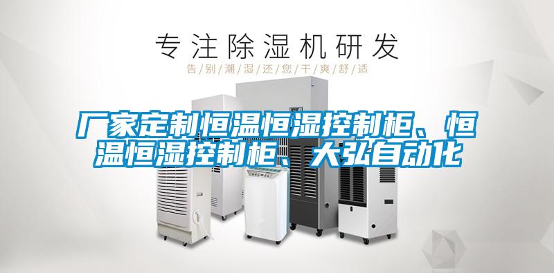 厂家定制恒温恒湿控制柜、恒温恒湿控制柜、大弘自动化