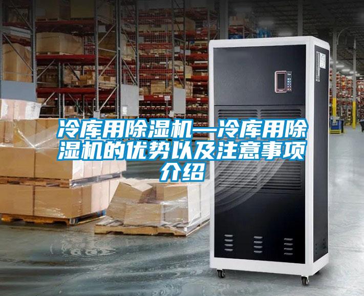冷库用麻豆视频黄网站—冷库用麻豆视频黄网站的优势以及注意事项介绍