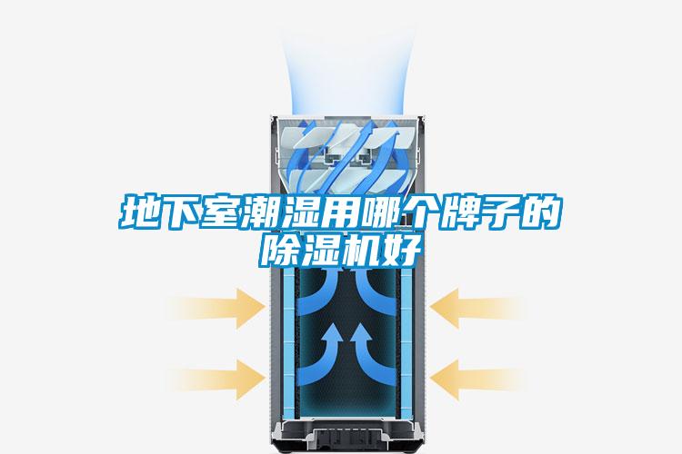 地下室潮湿用哪个牌子的麻豆视频黄网站好