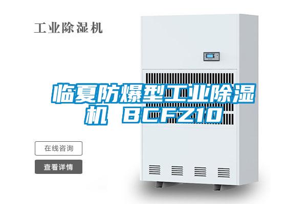 临夏防爆型工业麻豆视频黄网站 BCFZ10