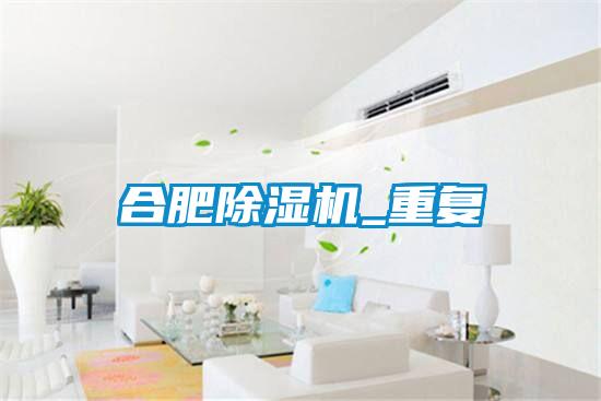 合肥麻豆视频黄网站_重复