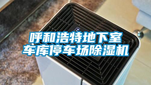 呼和浩特地下室车库停车场麻豆视频黄网站